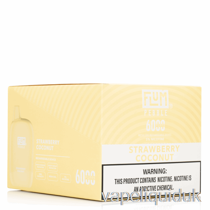 [10-Pack] Flum Pebble 6000 Disposable Vape Liquid